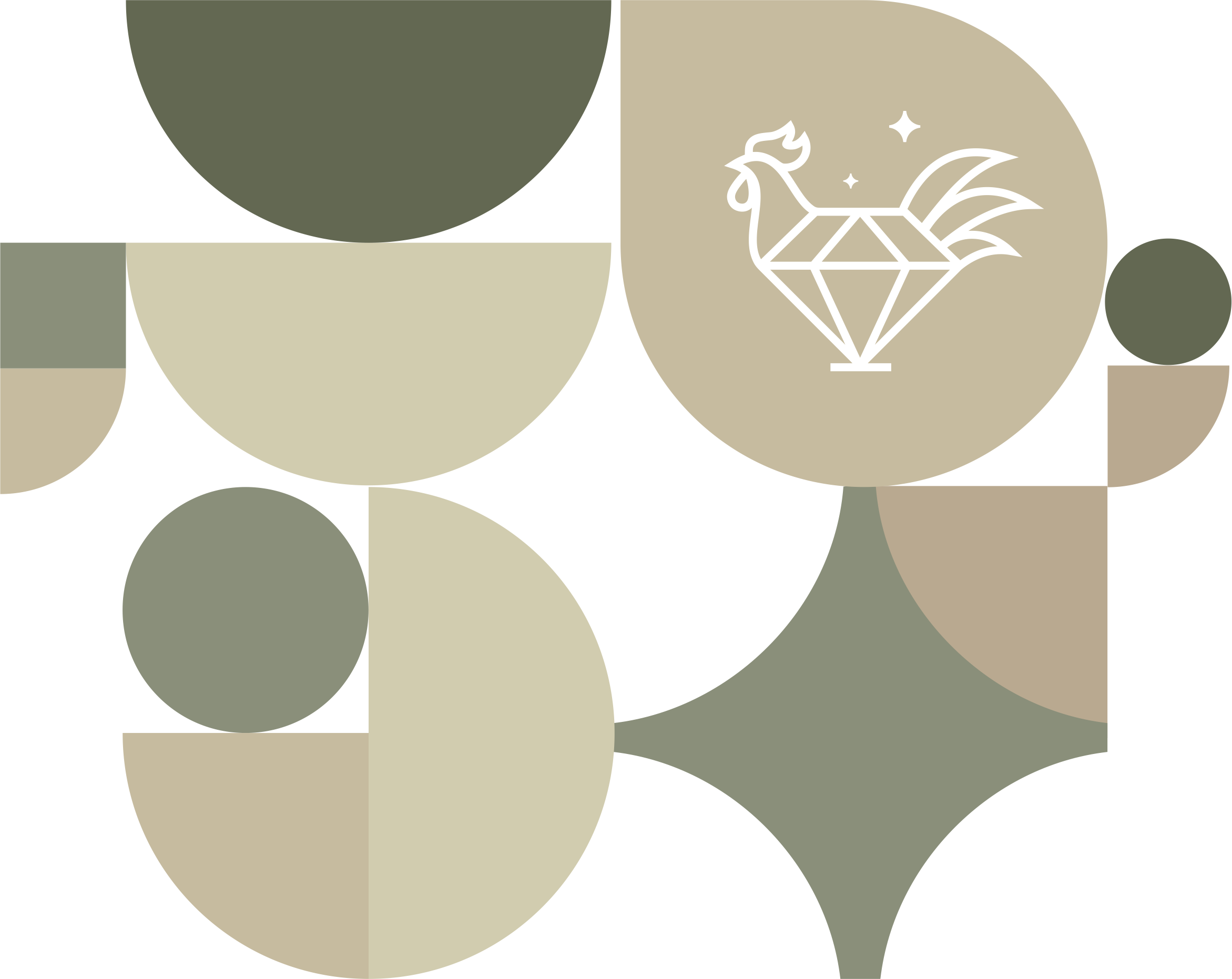 gyémánt kakas felnőttképzés