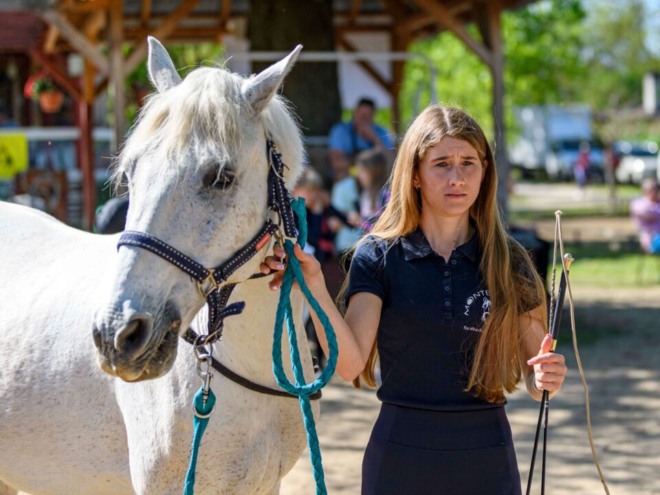 lovastúra vezető képzés